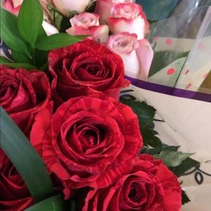 Meet your Posher, Dariela